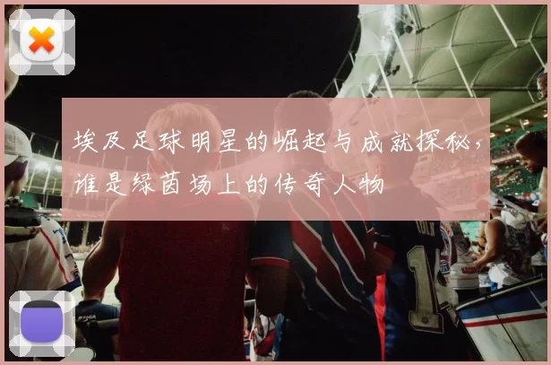 埃及足球明星的崛起与成就探秘，谁是绿茵场上的传奇人物