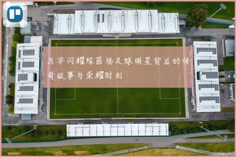 万字闪耀绿茵场足球明星背后的传奇故事与荣耀时刻