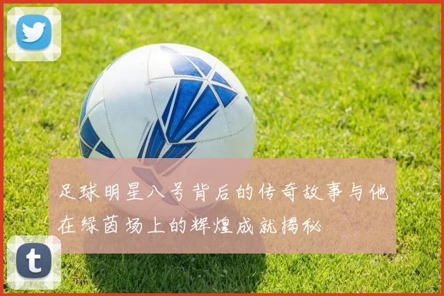 足球明星八号背后的传奇故事与他在绿茵场上的辉煌成就揭秘