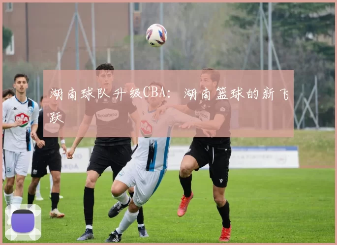 湖南球队升级CBA：湖南篮球的新飞跃