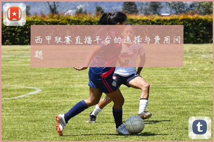 西甲联赛直播平台的选择与费用问题
