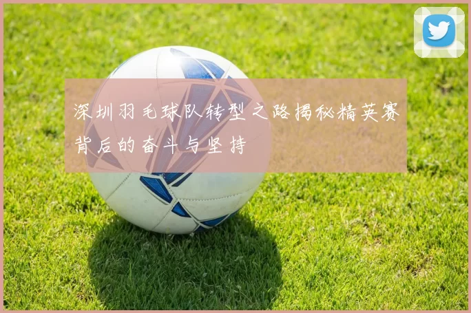 深圳羽毛球队转型之路揭秘精英赛背后的奋斗与坚持