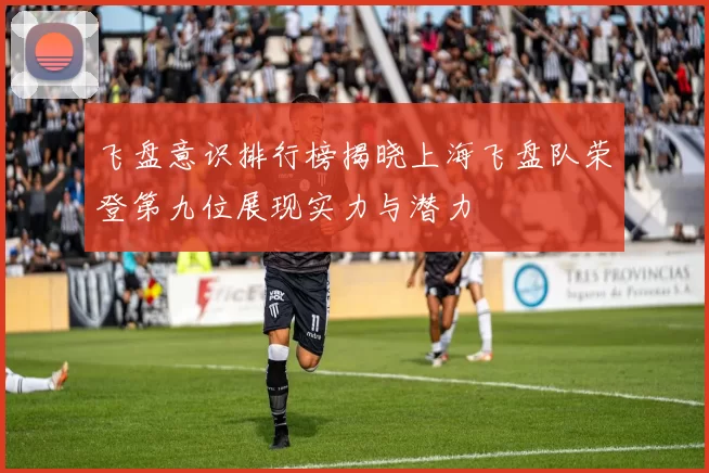 飞盘意识排行榜揭晓上海飞盘队荣登第九位展现实力与潜力