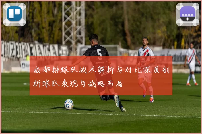 成都排球队战术解析与对比深度剖析球队表现与战略布局