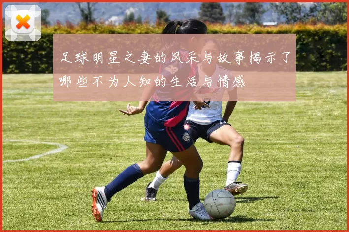 足球明星之妻的风采与故事揭示了哪些不为人知的生活与情感