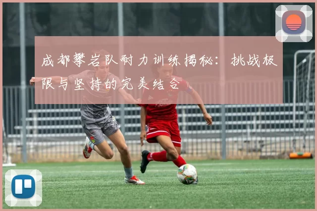成都攀岩队耐力训练揭秘：挑战极限与坚持的完美结合