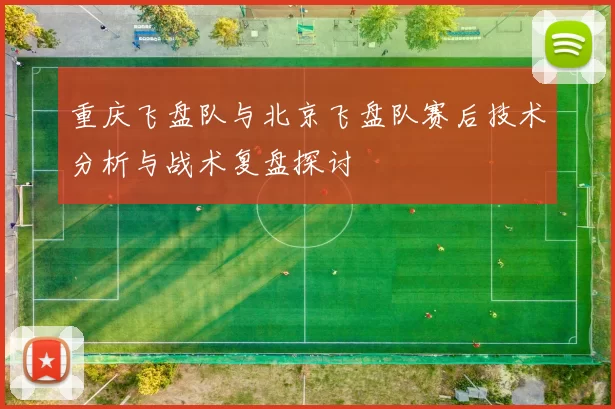 重庆飞盘队与北京飞盘队赛后技术分析与战术复盘探讨