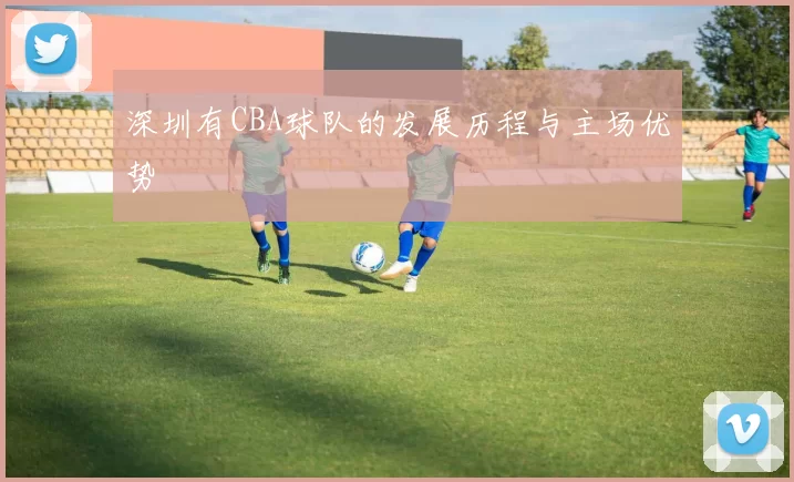 深圳有CBA球队的发展历程与主场优势
